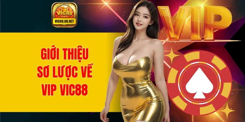 Giới thiệu sơ lược về chương trình VIP VIC88