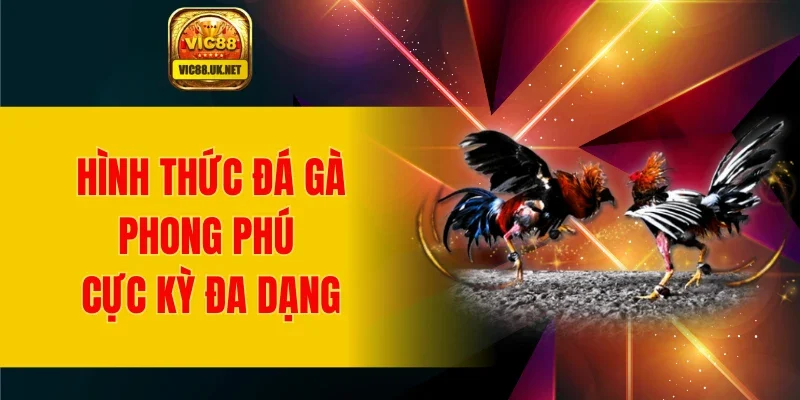 Hình thức đá gà phong phú, cực kỳ đa dạng